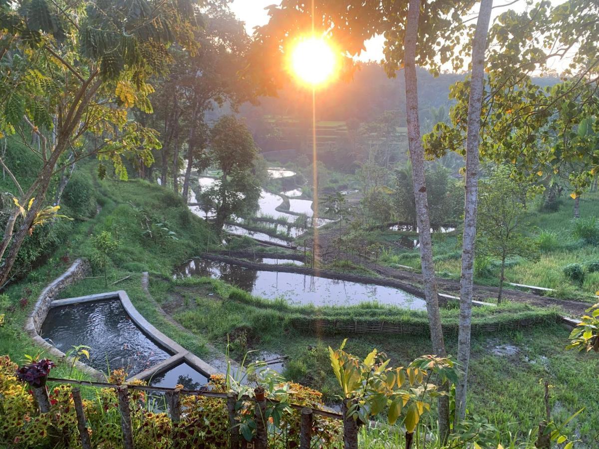 The Alam Tetebatu Bungalow & Restaurant Екстериор снимка