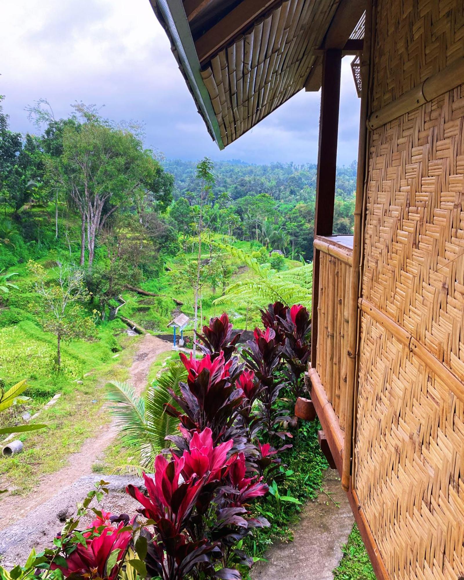 The Alam Tetebatu Bungalow & Restaurant Екстериор снимка